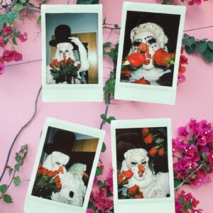 Crystal Methyd Instagram - Roses Are Red, Violets Are Blue 
Drag Queens are Sexy, How About you?!

Backstage Rose Ceremony at @mppresent A Drag Queen Christmas!  Photos by @jimbothedragclown 

#roses #diamonddivadolls #sweet #takeawhiff #roseycheeks #beauty #models #chrissymissys #sissychristmas #drag #queens #tour #tourlife