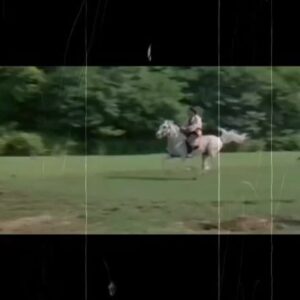 Cüneyt Arkın Instagram - Yiğit olan döne döne döğüşür
Kanlı gömlek koç yiğide şan olur…

#cüneytarkın #actor #jön #sinema #film #video #instagram