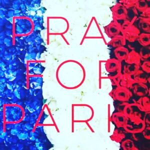 Dakota Hood Instagram - Prayers and Peace for Paris. Tonight we are one universe 🌎