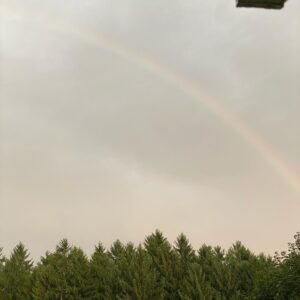 Dale Soules Instagram - It’s still summer, and rainbows appear.