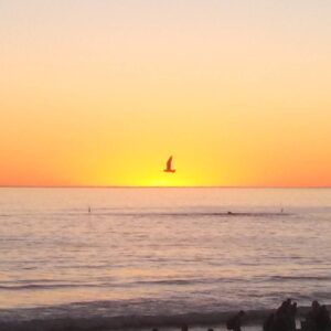 Dale Soules Instagram - Orange sunsets and #OITNB both point toward a new day.  #vacation