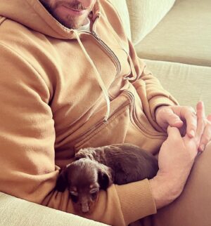 Dalton Rangel Instagram - Esse é o Charlie. Novo integrante da família. Ele esta mandando uma lambidinha pra todo mundo e dizendo que vcs poderão acompanhar o crescimento dele nos stories da mamãe @natcasagrandecakes e no meu, claro. ❤️ Agora, quero ver adivinharem a RAÇA DELE… 
.
#pet #dog