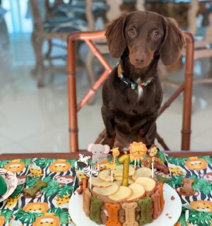 Dalton Rangel Instagram - Claro que o aniversário 🎂 do nosso 😇 de 4 patinhas não ia ficar sem bolinho❤️ comemorando 1 ano de amor incondicional… leveza… alegrias e muito carinho que você trouxe para nossa casa ❤️ te amamos demais Charlinho ❤️ querem a receita do bolinho canino????
