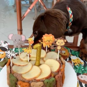 Dalton Rangel Instagram - Claro que o aniversário 🎂 do nosso 😇 de 4 patinhas não ia ficar sem bolinho❤️ comemorando 1 ano de amor incondicional… leveza… alegrias e muito carinho que você trouxe para nossa casa ❤️ te amamos demais Charlinho ❤️ querem a receita do bolinho canino????