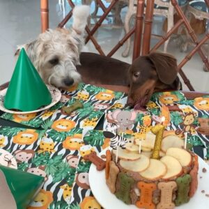 Dalton Rangel Instagram - Claro que o aniversário 🎂 do nosso 😇 de 4 patinhas não ia ficar sem bolinho❤️ comemorando 1 ano de amor incondicional… leveza… alegrias e muito carinho que você trouxe para nossa casa ❤️ te amamos demais Charlinho ❤️ querem a receita do bolinho canino????