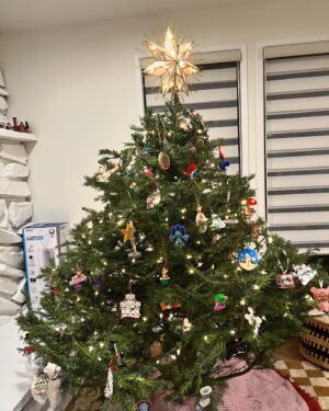 Dan Cummins Instagram - Merry Christmas, everyone! Hope you get some nice family time in today. And eat way too much mashed potatoes and gravy. And also turkey. And stuffing. And green bean casserole. And cranberry sauce. And olives. And also fruit salad. And ham. And of course pumpkin pie (Costco makes the best). And of course have some rolls. And there's probably 8-15 other things I'm forgetting that you should for sure eat.