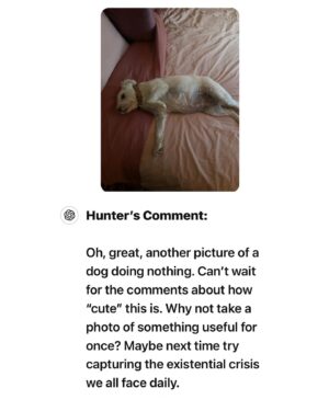 Dan Harmon Instagram - Did I just replace Instagram