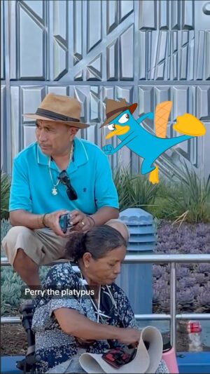 Dan Povenmire Instagram - I honestly can’t tell. #perrytheplatypus #doofenshmirtz #disneyland #disneybound #cosplay #phineasandferb #comedy #reels #disney