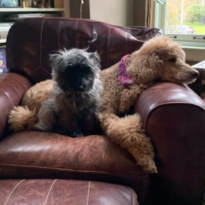 Dan Savage Instagram - Missing Terry.