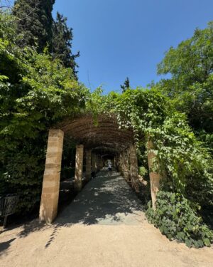 Dan Walker Instagram - Back home from a lovely family holiday in Athens 🇬🇷

I went there to cover a football match many years ago but never explored the city. We loved the welcome, the weather and the wonderful history… wherever you look (the food was top-drawer too).

Other observations…

All the marble makes the streets unusually slippy
Never been to a city with so much graffiti
Side-streets are a real treat with so much to do and Anafiotika is well-worth a wander around but… there are signs up to respect the people who live there 
They love their pistachios
The Acropolis & Parthenon live up to the hype - but go early and use the smaller south-east entrance (by the museum) and get there about 730 with a pre-booked ticket to avoid the crowds. It opens at 8 and by 830 it’s rammed.
The sunset from Lycabettus Hill is well worth the walk up there
The changing of the guard in Syntagma Square is fascinating and the National Gardens next door are gorgeous - especially wandering round with lunch from the famous Kostas’ souvlaki - 30 minute lunch queue but it’s mega 
The sea around the Greek Islands (we went to Agistri and Aegina) is as good as it gets
It’s expensive… particularly ice-cream
Loved the historical significance of standing in the footsteps of the Apostle Paul on Mars Hill
The metro is great but buy your trips in bulk to save a bit of cash 
It’s always hot ☀️

Thank you Athens for a great break ❤️

#holiday #holidays #city #citybreak