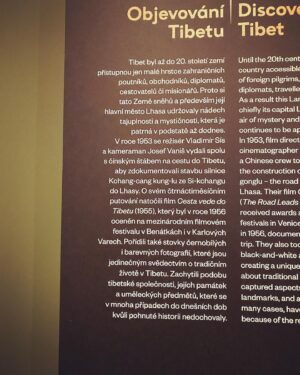 Dana Batulková Instagram - Tak jsme se s Mary vydaly  na jiny druh kultury nez divadelni- vystava Budha ve Valdstejnske jizdarne.Mysl povznasejici orientalni zazitek jsem zakoncila v muzeu slivovice kyselici- skvelou.😜🙃