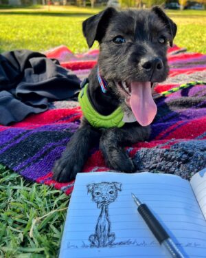 Daniel 'Cloud' Campos Instagram - Everyone please meet SKETCH! My new best friend ❤️ 3 months ago I felt it was time to bring a dog into my life. After applying for multiple pups I got no response. Then two of my friends @meekoh and @chandler_rayne_drop came across this 3 month old on @muttscouts and immediately sent him to me. The instant I saw him I applied and a week later he was in my arms. I like to think that the moment my heart asked for a dog 3 months ago this little guy was born and made a journey of his own to find me. Thank you @muttscouts for all that you do to find these beautiful souls a home 🙏🏽 It’s you and me now, Sketch. I promise you a beautiful life filled with love and adventures ❤️🐶