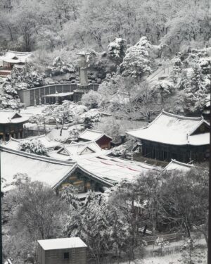 Daniel Dae Kim Instagram - A snowy day in Seoul. 
Not black and white and not a postcard, but it sure could be. #wishyouwerehere