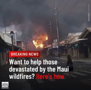 Daniel Dae Kim Instagram - At the time of this writing 53 dead, thousands evacuated, 1700 structures destroyed, 11,000 without power, untold damage to the ecosystem…
I’ve been posting stories for those who’d like to help, but perhaps the best way to find legitimate resources is our local news. @hawaiinewsnow has a guide that I’ve linked to in my bio. If you’re able to help this is a good place to start. #prayformaui
