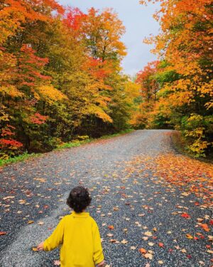 Daniel Di Tomasso Instagram - There are no wrong turns lil bud. The world is yours!  Happy Birthday Chico!