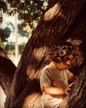 Daniel Di Tomasso Instagram - 🌳🐒