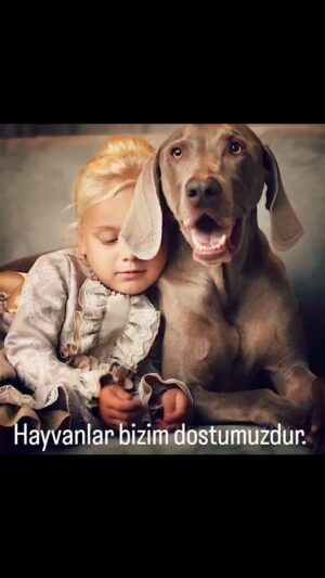 Daniel Getmanskaya Instagram - Hayvanlar bizim dostumuzdur.
Узнали мелодию ?