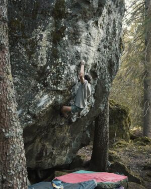 Daniel Woods Instagram - Grape Ape (8A ) FA

cleaned this line then figured out the moves with @dave_graham_ . Great rock, hold selection, and moves on this thing. hyped to add another stunner to the forest. 

Photos @lisapaarviophotography 🔥

@thenorthface @thenorthface_climb @evolv_worldwide @organicclimbing @frictionlabs @physivantage