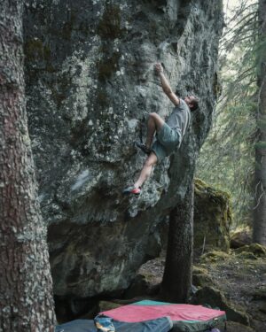Daniel Woods Instagram - Grape Ape (8A ) FA

cleaned this line then figured out the moves with @dave_graham_ . Great rock, hold selection, and moves on this thing. hyped to add another stunner to the forest. 

Photos @lisapaarviophotography 🔥

@thenorthface @thenorthface_climb @evolv_worldwide @organicclimbing @frictionlabs @physivantage