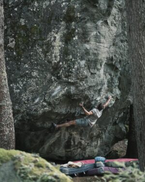 Daniel Woods Instagram - Grape Ape (8A ) FA

cleaned this line then figured out the moves with @dave_graham_ . Great rock, hold selection, and moves on this thing. hyped to add another stunner to the forest. 

Photos @lisapaarviophotography 🔥

@thenorthface @thenorthface_climb @evolv_worldwide @organicclimbing @frictionlabs @physivantage