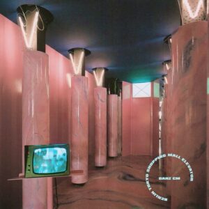 Danielle 'Danz' Johnson Instagram - Berlin Tokyo Shopping Mall Elevator is out! 🛸

A 19-track compilation of mainly instrumental and experimental songs, there are a few with vox.

Inspired by the universe, the electromagnetic spectrum, sound, space, time, frozen pizza, Ennio Morricone, Henry Mancini, driving on the autobahn, the Minimoog and Mellotron.

1. Melodie
2. School Lunch (Dub Mix)**
3. Little Trees (Wunder-Baum)
4. Birds of Paradise
5. Synth History Intro 
6. The Electromagnetic Spectrum 
7. Autobang 
8. Mancini Morricone 
9. Fast Cars
10. New Jersey Transit
11. Berlin Tokyo Shopping Mall Elevator Music 
12. The Unfortunate Lifespan of a Mayfly 
13. Harmonics 
14. Oscillate 
15. Schnelle Autos (German "Fast Cars")
16. Mancini Morricone (Minimoog Version)** 
17. Cafeteria Blues ("School Lunch Vocal Mix")**
18. Harmony of the Spheres (Clouds '23)
19. In The End 
20. One Big Harmonic Oscillator (Bonus Track on Vinyl / Cassette) 

  = Songs I composed and produced for the “Oscillators” Synth History podcast episode out now, excerpt in second video.

** = Made with many layers of the Minimoog.

Special thanks to @dandamack who I met at one of my German shows who helped me translate Fast Cars.

Fun fact.. I helped build this Minimoog myself at the @moogsynthesizers factory!

Everything produced, written, recorded, mixed and mastered by yours truly.

📷: @chadkamenshine
📷: @texmextexmextexmex