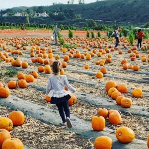 Danielle Demski Instagram - At the patch with my favorite little pumpkins🎃🍁
.
.
.
.
#pumpkinpatch2020 #momlife #familyof4 #instagoodness #pickingpumpkins #hellofall #letthembelittle #momswithcameras