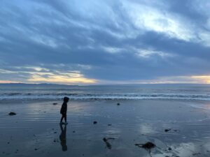 Danny Elfman Instagram - The Elf-Gang takes an Xmas morning beach walk