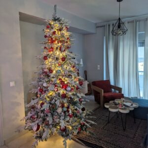 Danny Giannakopoulou Instagram - 🎄🎄The best time of the year!
Xρονια πολλά!!!🎄🎄
.
.
#familytime #grandma #nieces #christmas #besttime #xmasmood #xmaslover #xmasdecorations 
@pharmastreet