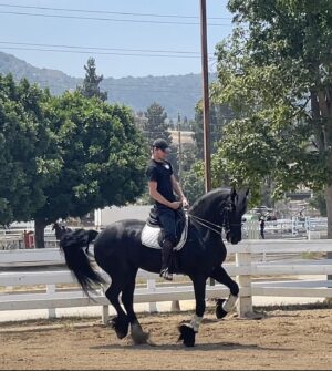 Danny Griffin Instagram - Alexa play old town road
