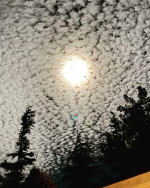 Danny Masterson Instagram - Can u spot the owl?