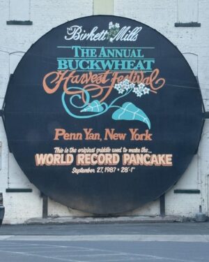 Darienne Lake Instagram - You never know where I’m going to show up. Last night, I was honored to celebrate Elayna & Page’s upcoming nuptials in #PennYan NY. Fun fact: they broke the world record for the largest pancake. You can also enjoy the Amish & mennonite clip-clopping around town. 
Small towns need drag and representation. I think of all the queer children who need us to show up. So this pride season, travel to a small town pride. Spread the love. 🏳️‍⚧️🏳️‍🌈