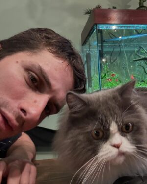 Dario Yazbek Bernal Instagram - Perritos y gatitos del último mes