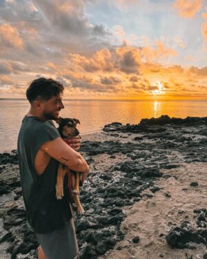 Darko Bozovic Instagram - Les amis je suis officiellement parrain pour la 1ère fois, je vous présente ma petite Lilie 🥹🐾💕
Elle a été abandonné devant une maison et jusqu’ici elle n’a pas trouvé de famille à la Réunion, alors on l’a rapatrie en métropole pour qu’elle puisse avoir plus de chances d’en trouver une 🫶🧑‍🧑‍🧒
Si vous pensez pouvoir lui apporter tout l’amour qu’elle mérite le lien pour l’adopter est dans ma story ✨
Merci @ultrapremiumdirect pour cette rencontre que je n’oublierai pas de si tôt
💫publicité