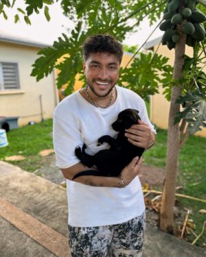 Darko Bozovic Instagram - Comment on peut abandonner des petites boules d’amour pareil les amis?