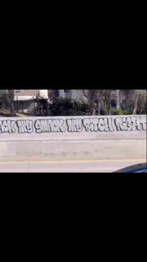 Daron Malakian Instagram - Thank you to the artist for putting my words on a wall in the city of my birth.

#DaronMalakian #ScarsOnBroadway #DMSOB #SystemOfADown #SOAD #PrisonSong #Hollywood