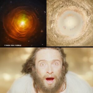 Darren Aronofsky Instagram - over 15 years ago while making #theFOUNTAIN my team and i spent months photographing chemical reactions through a microscope with 35mm film. then we scanned the footage and digitally adjusted it to imagine what it might be like to witness a dying star. last month @nasa released an actual photo of a dying star taken by the @nasahubble . i think i was just as surprised as @thehughjackman