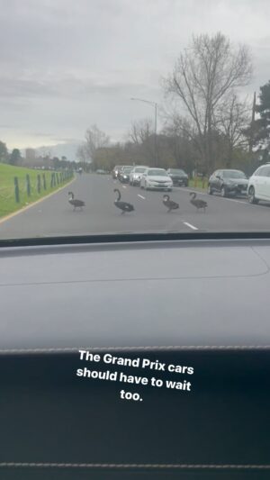 Dave Hughes Instagram - Stop your engines.
