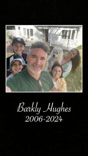 Dave Hughes Instagram - Hughesy’s beloved dog Barkly has passed away, and while it’s a sadness his family will hold for sometime, they will never forget what Barkly has taught them - to love and appreciate every day you’re alive 🐾❤️