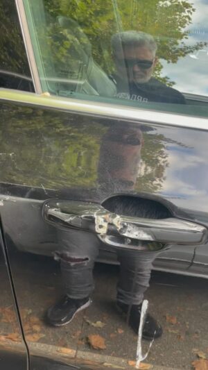 Dave Hughes Instagram - Went thru a car wash for first time in six months yesterday.  Do birds do this on purpose?