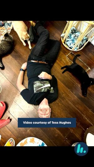 Dave Hughes Instagram - Tess made this video of her Dad at the Cat Cafe 🐱❤️