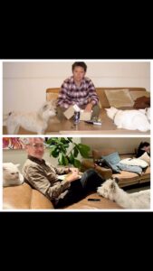 Actor Dave Hughes HD Instagram Photos and Wallpapers May 2024