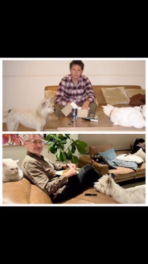 Dave Hughes Instagram - Friday chip night. 2008 to 2024. Different cat but same old dogs.