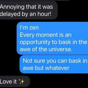 Dave Hughes Instagram - Plane delays are a blessing even if they risk my stand up show being cancelled. PS  I got on stage on time.