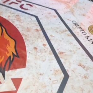Dave Leduc Instagram - After a successful first event, I wanted to go bigger and better for MFC 2, my second event as a promoter. Saying that I’m extremely proud of the work of the whole team at @worldwidemfc would be an understatement! 🙏

We f**king killed it. Partnership with @fitetv, Lethwei world title sanctioned by the @worldlethweifederation, legendary commentary by @robinblackmartialarts and INCREDIBLE bloody fights and stoppages! 

*Yes, we named the promotion "Marshall Fighting Championship" after @joerogan‘s dog “Marshall” (@marshallmaerogan) and yes that’s him on the center cage floor, because Marshall is f**king G 😄

Hatala vs Saladiak was a blood war, these guys have my full respect. I will remember this event for ever.

(check out the last slide to see a Robin Black showing the aftermath of our crazy event!) 

We are already looking at suitable cities and venues for MFC 3 👀

Wanna fight? DM @worldwidemfc