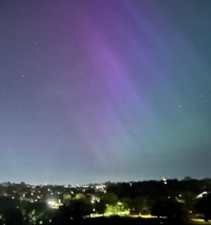 David Baddiel Instagram - Northern London Lights.