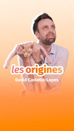 David Castello-Lopes Instagram - 🕰️ @davidcastellolopes remonte aux origines du chat sans poil... avec NEREUS en guest ! 

#davidcastellolopes #humour #chat