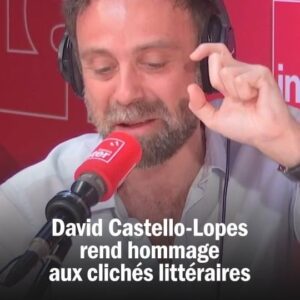 David Castello-Lopes Instagram - "Un pavé dans la mare", "La tension était palpable"... David Castello-Lopes rend hommage aux clichés littéraires.

#humour #languefrançaise