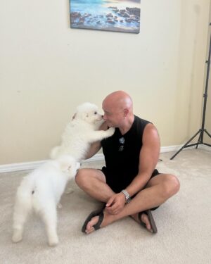 David Draiman Instagram - Got another puppy…BECAUSE lol

Meet Diana…a princess to be sure ❤️