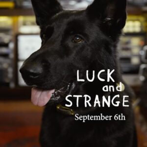 David Gilmour Instagram - The new album 

#LuckandStrange

Sept 6th

davidgilmour.com

📹 @gavin_elder