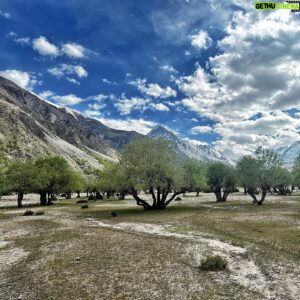 David Göttler Instagram - The base camp on the Rupal side of Nanga Parbat ranks in my top 3 favourite basecamps of all 8k peaks. Take a look at the photos to see why. To be on an 8000m peak climb, yet with a base camp on a beautiful green meadow full of life is both unusual and a treat for the sense. I was reminded of home by multiple groups of visiting donkeys, and reminded of how far into the wild we were when I saw a wolf (3rd slide!) for the first time in my life. It’s a truly beautiful place, that makes this side of the mountain really special, even if it means that the vertical distance to the summit is a galling 4500m!
.
#basecamp #NangaParbat #Rupal #expedition #8000 #alpinestyle #bestcampingspot #zoo #donkey #wolf #neverstopexploring @thenorthfacede
